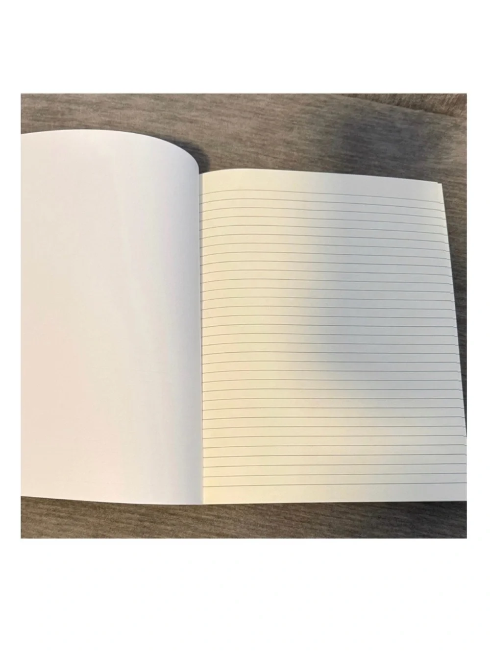 NOTEBOOK: LOUIS VUITTON Monogram (gwp,) NWOT